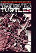 TMNT #1